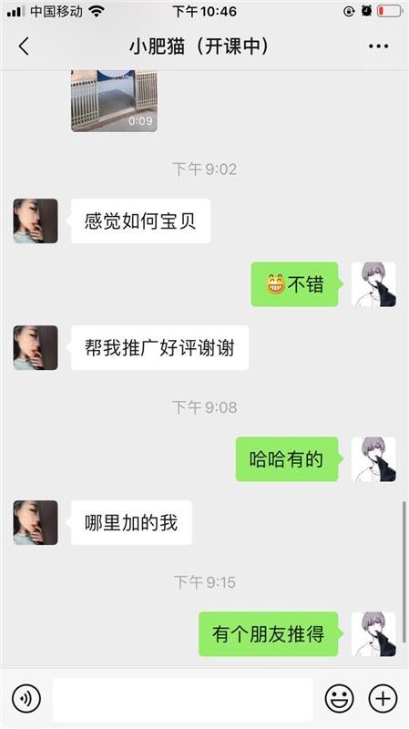 深圳宝安坪洲 小肥猫体验